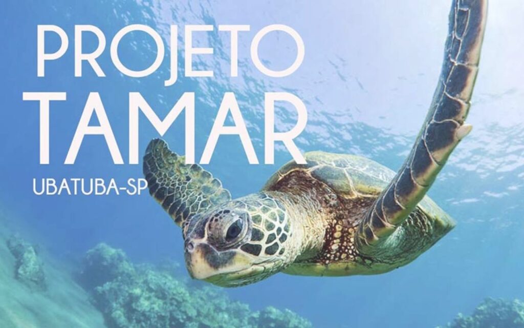 Projeto Tamar