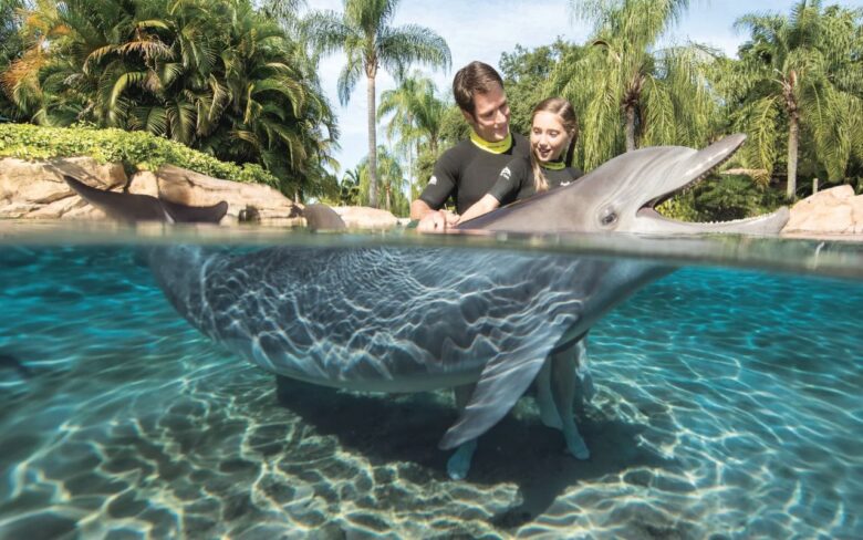 Discovery Cove Orlando