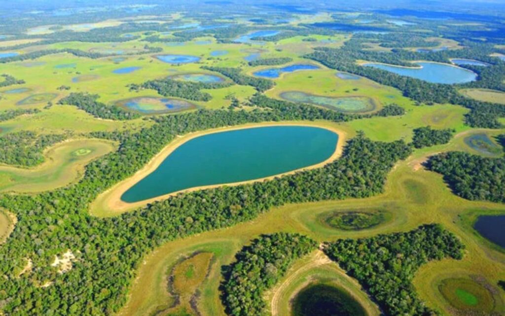 Pantanal