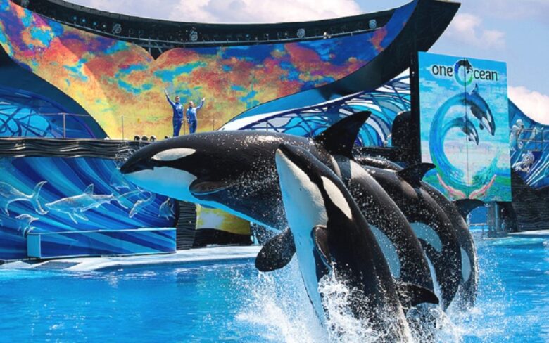 Sea World