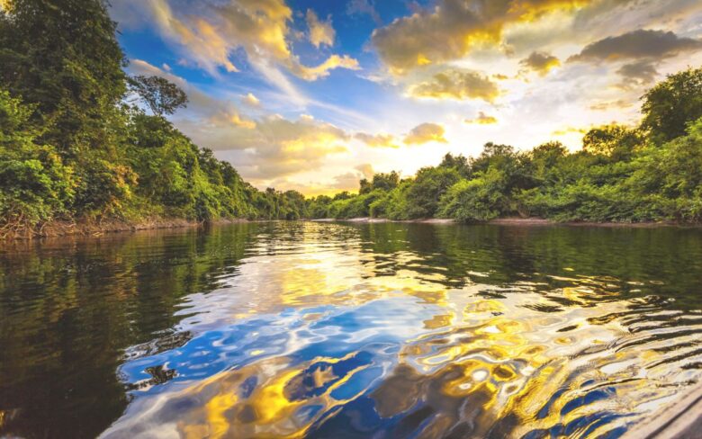 Amazônia