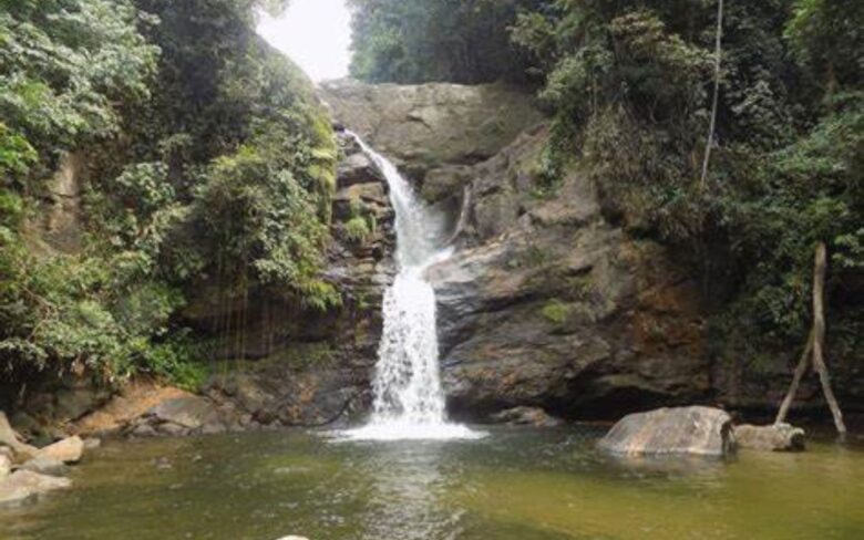 Cachoeira de Macacu