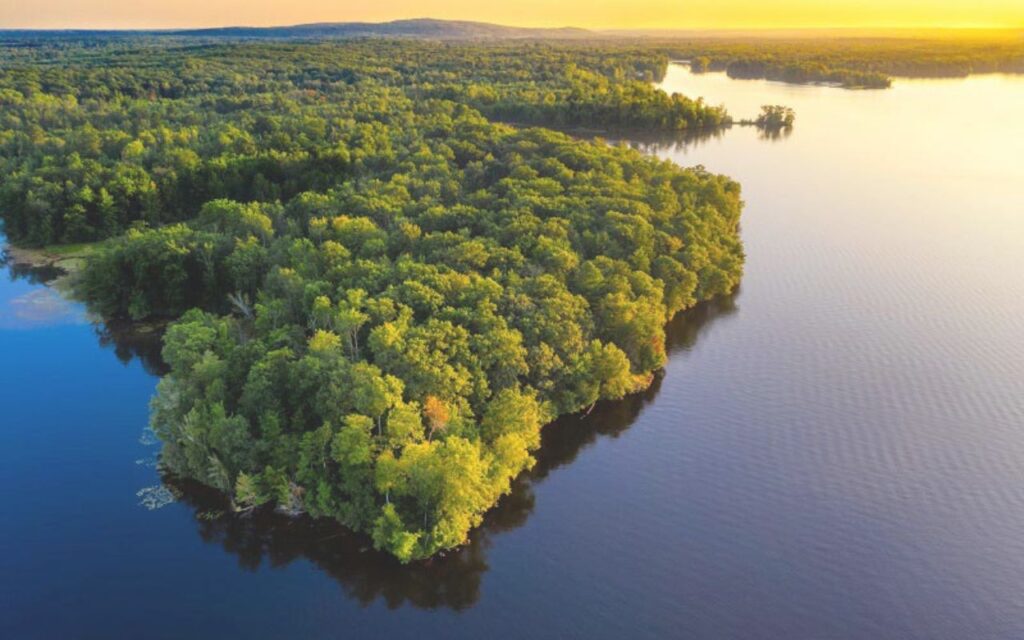 Amazônia