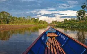 Amazônia